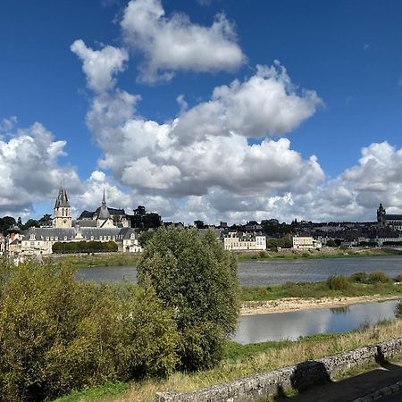 Gites Des Cygnes Vue Sur Loire Et Linge Inclus Blois Exterior foto